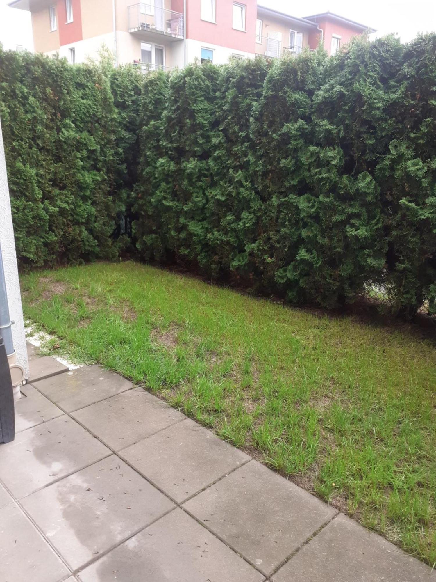 Sloneczny Apartament Z Malym Ogrodkiem Wejherowo Zewnętrze zdjęcie